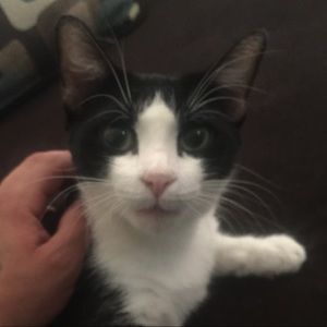 Meet your Posher, John